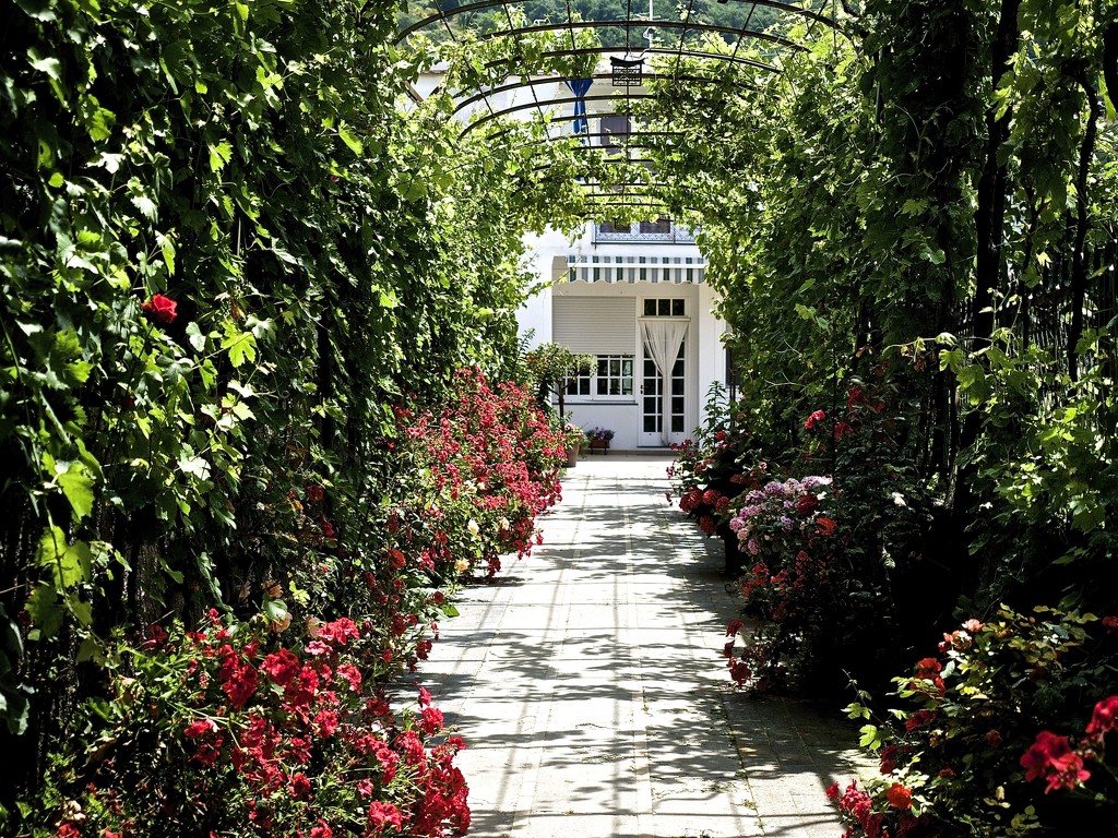 Heading Down the Garden Path by redy4et