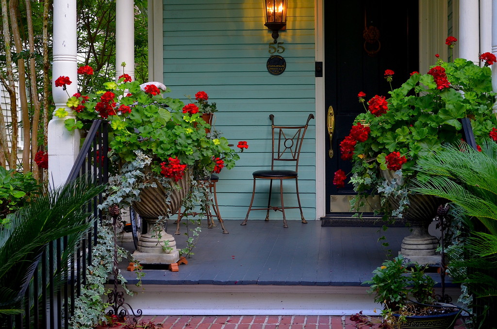Geraniums and front porch, historic district, Charleston, SC by congaree