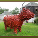 'Heiland Coo' by jmj