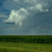 Rainbow over Cornfield by kareenking