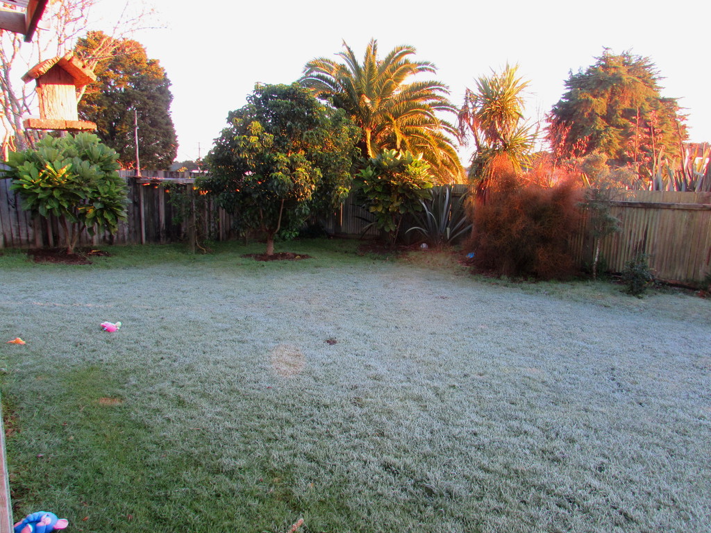 Our front yard this morning - frosty by Dawn
