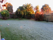2nd Jul 2016 - Our front yard this morning - frosty