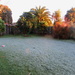 Our front yard this morning - frosty by Dawn