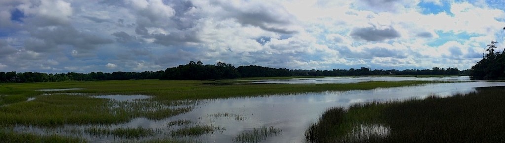 Sky, marsh and clouds, Charles Towne Landing State Historic Site, Charleston, SC by congaree