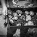 July - Potatoes by newbank