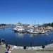 Inner Harbour, Victoria, B.C. by kathyo