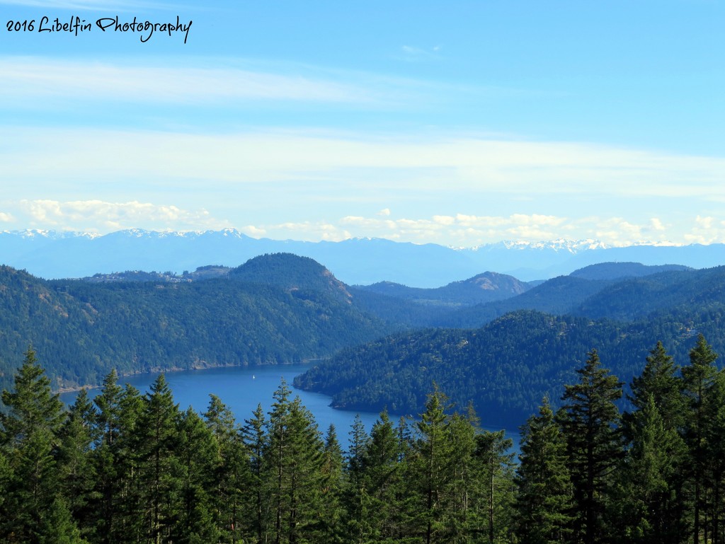 View from the Malahat, B.C. by kathyo