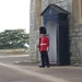 Windsor castle soldier  by denidouble