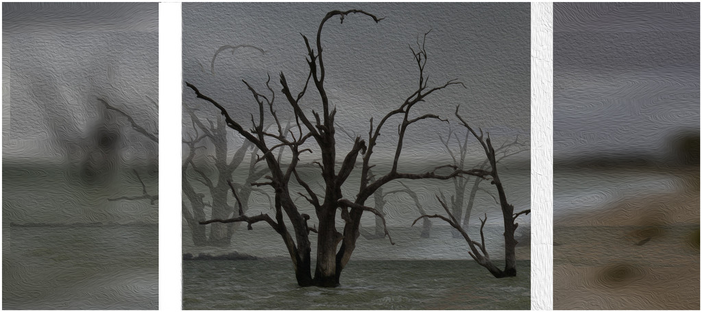 Triptych - Lake Bonner, SA by jeneurell