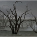 Triptych - Lake Bonner, SA by jeneurell