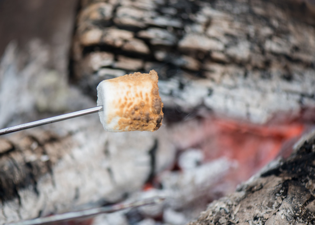 Preparing the perfect marshmallow... by dridsdale