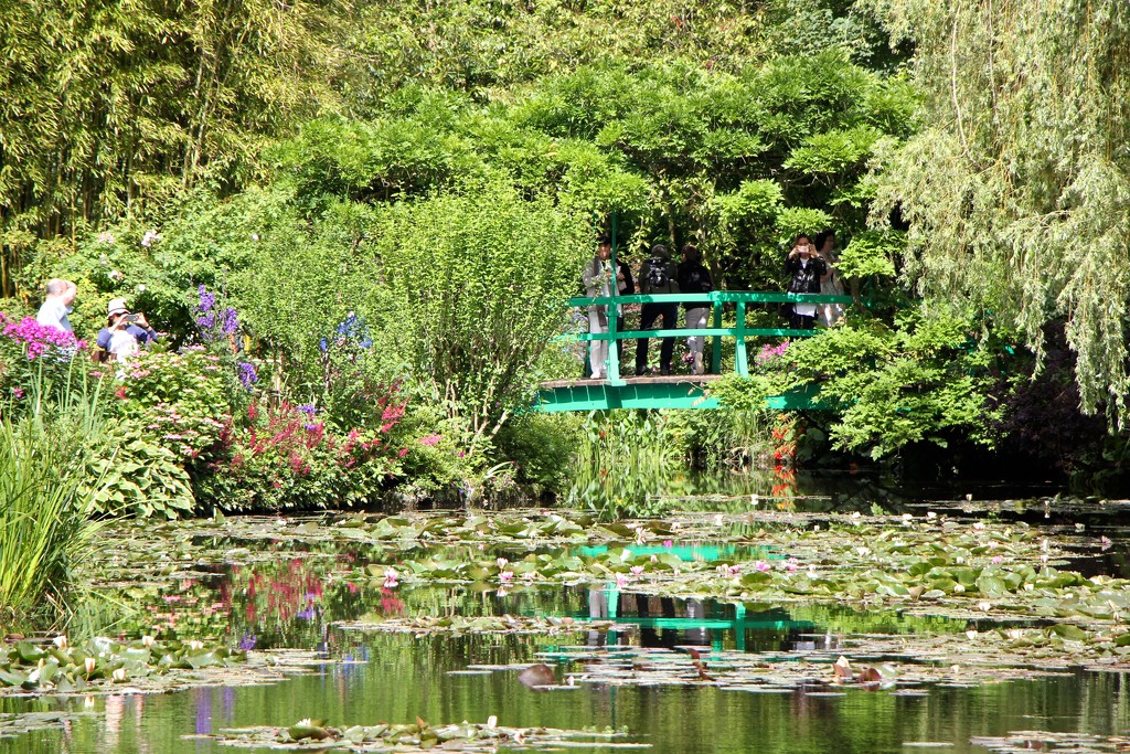 Monet's Water Garden by jamibann