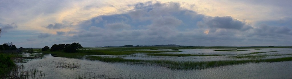 Salt marsh and tidal creeks, Folly Beach, SC by congaree