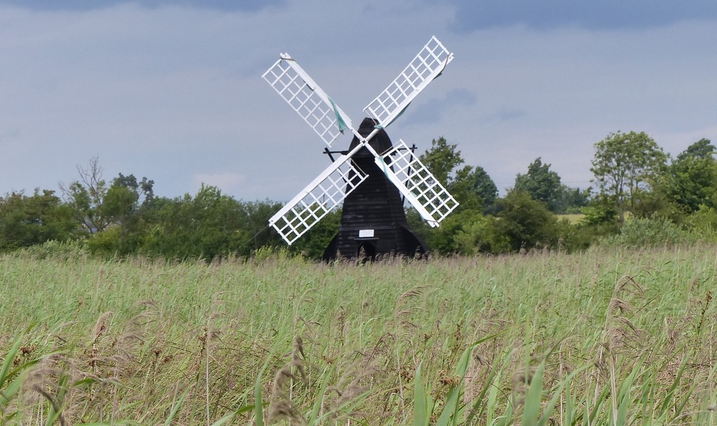 Windmill at Wicken Fen  by susiemc