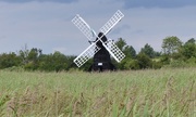 4th Jul 2016 - Windmill at Wicken Fen 
