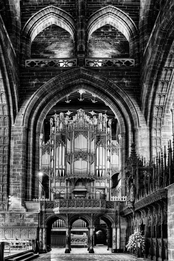 Chester Cathedral Organ. by gamelee