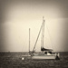 Sepia Yachts by frequentframes