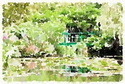 4th Jul 2016 - Monet's Water Garden - Water painting
