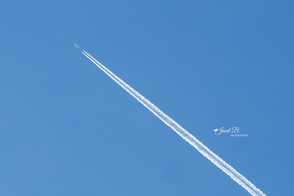 Contrails 101 by janetb