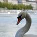 swan by parisouailleurs