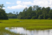 5th Jul 2016 - Marsh and woodlands at high tide, Charles Towne Landing State Historic Site, Charleston, SC