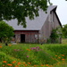 Barn and Wildflowers by kareenking