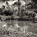 Japanese Garden, Houston by eudora