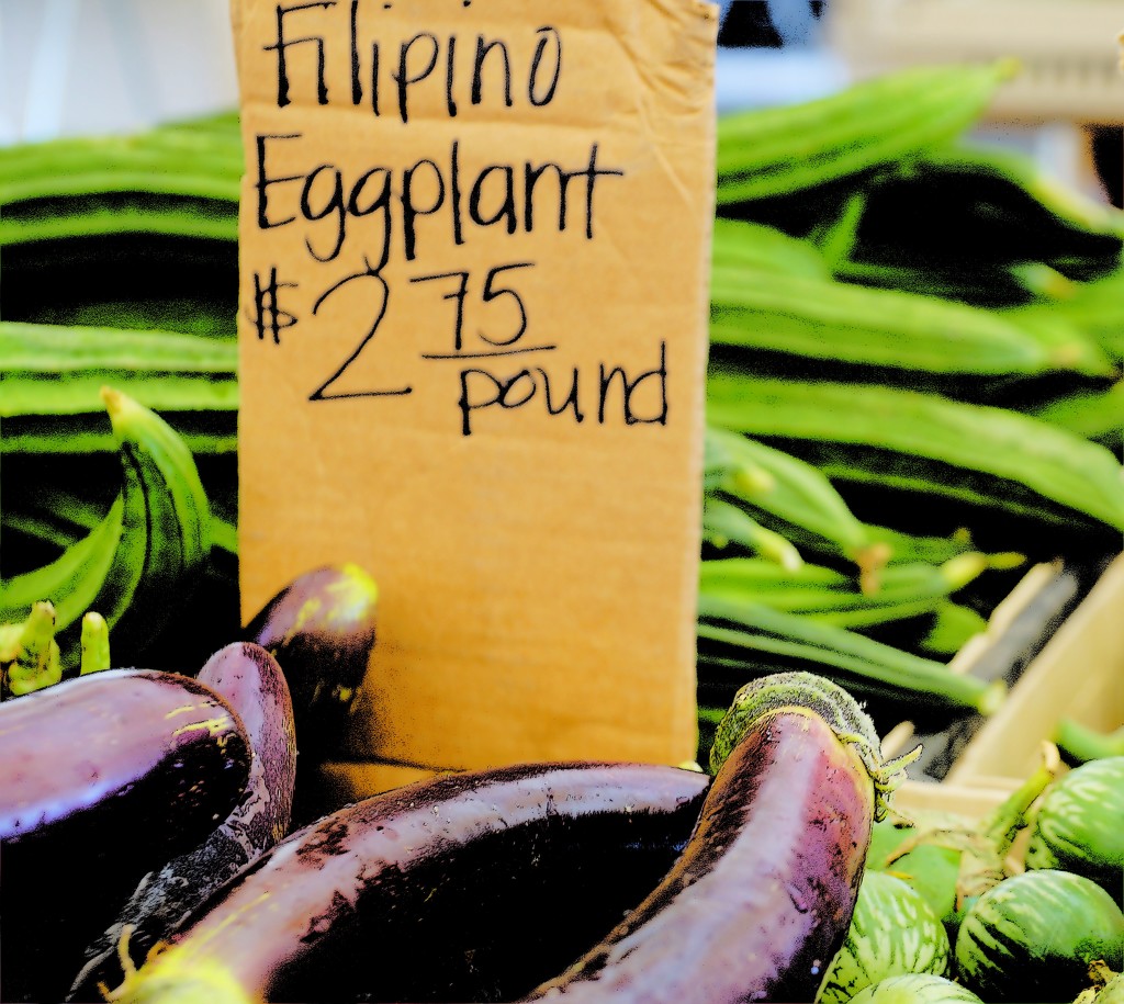 E is for Eggplant by joysabin