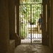 Through the Garden Gate by redy4et