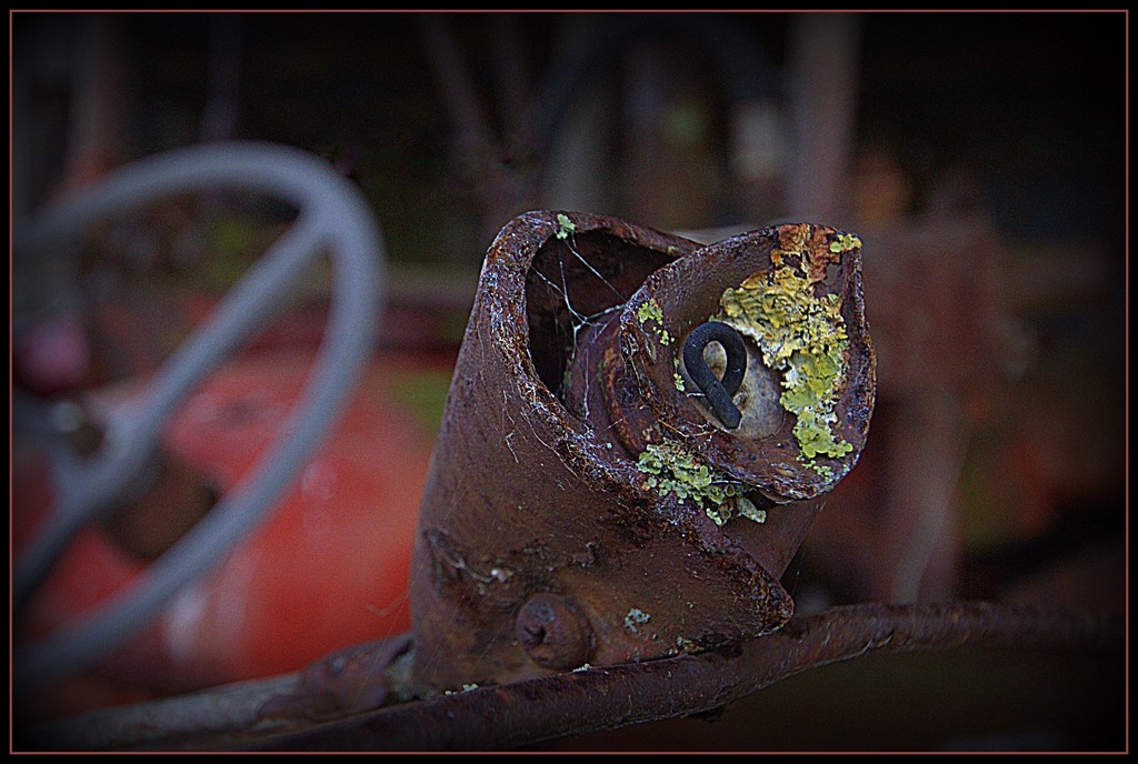 Once a mudguard light... by dide