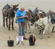 6th Jul 2016 - Donkeys on the Beach