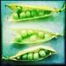 Peas by mastermek