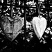 2016-07-06 hearts by mona65
