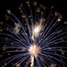 Dandelion Firework by sarahsthreads