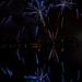 Firework Reflections by jae_at_wits_end