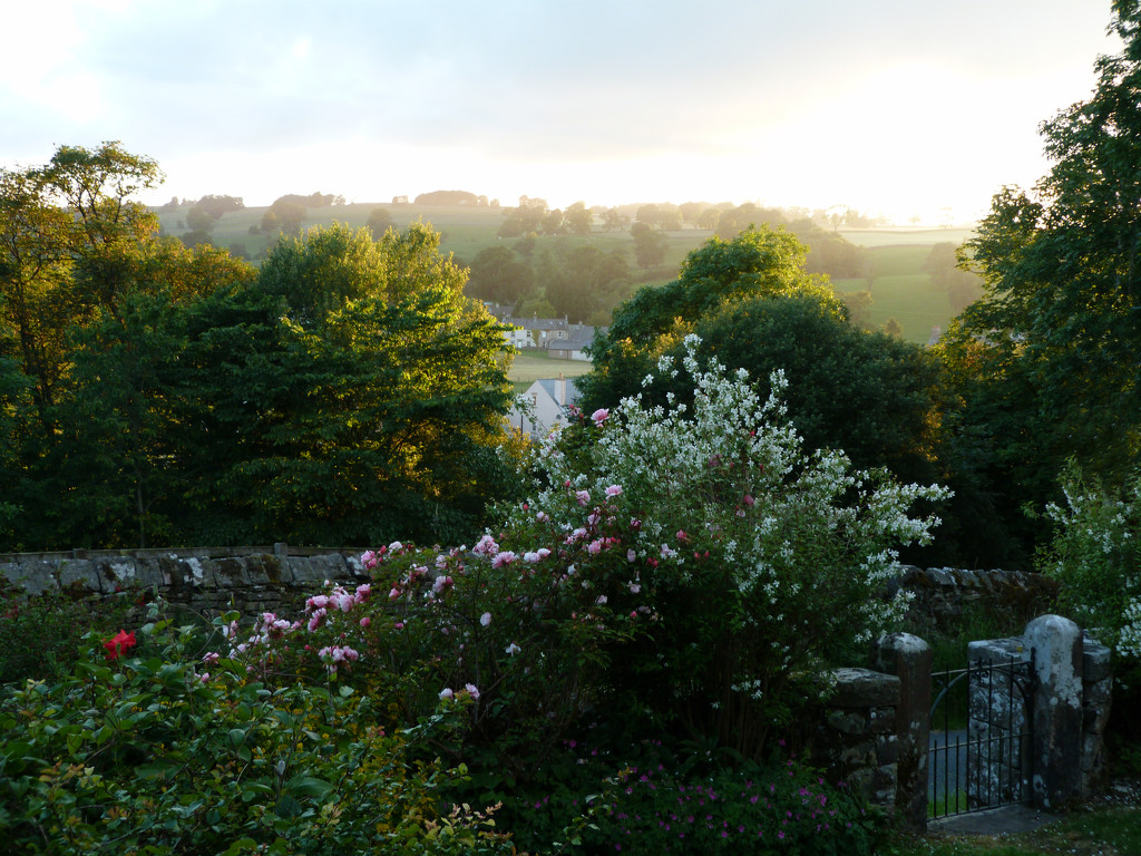 Evening light by shirleybankfarm