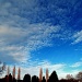 Blue Sky, Clouds and Trees by rich57