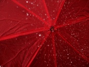 7th Jul 2016 - Water drops, red umbrella_Red 21