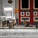 Do You Think A Crazy Cat Lady Lives Here? by grammyn
