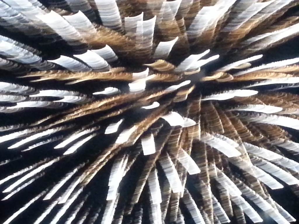 Fireworks Abstract by harbie