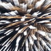 Fireworks Abstract by harbie