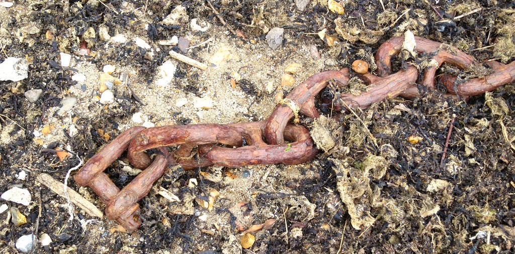 Rusty Chain by davemockford