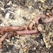 Rusty Chain by davemockford