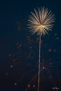 4th Jul 2016 - Dandelion Fireworks