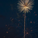 Dandelion Fireworks by skipt07
