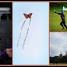 Go Fly a Kite by julzmaioro