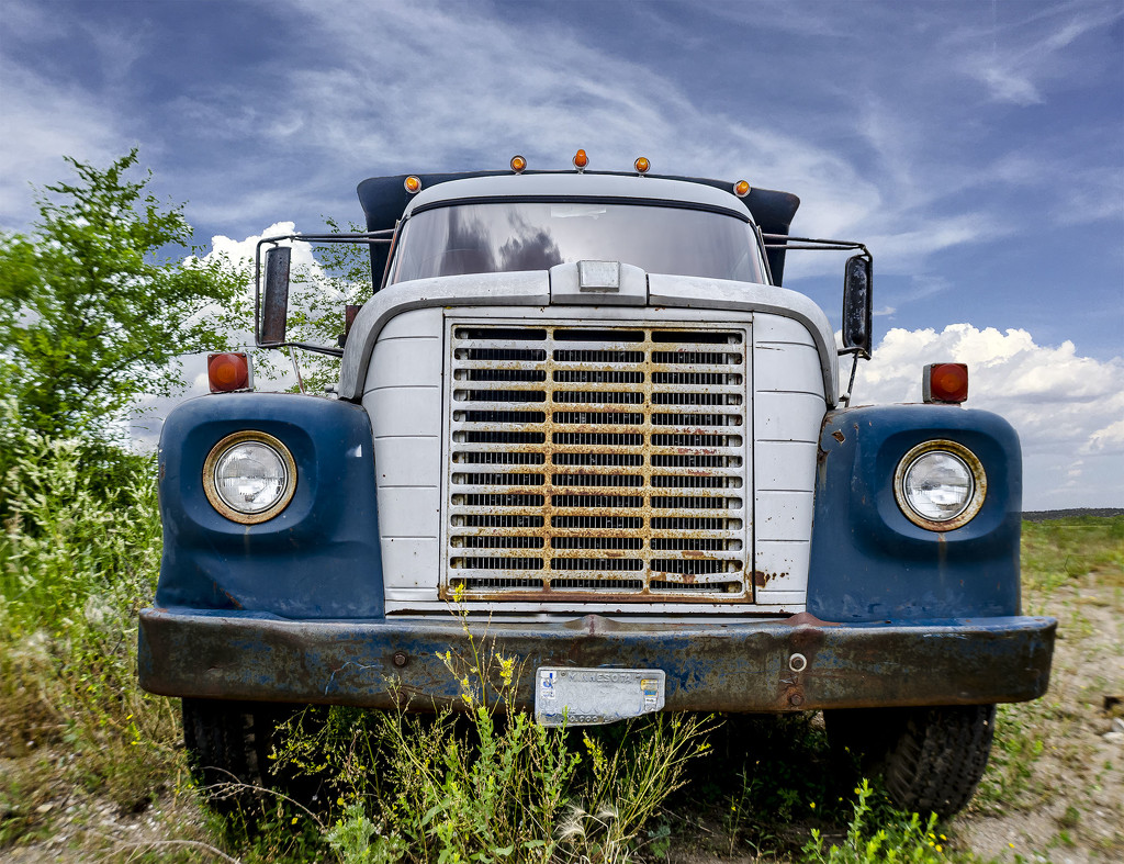 International Harvester Dump Truck by jeffjones