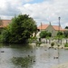 Mill Pond, Tickhill by fishers