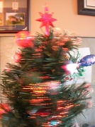 8th Dec 2010 - Rotating Tree of Wonder