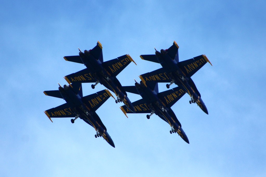 Blue Angels  by randy23